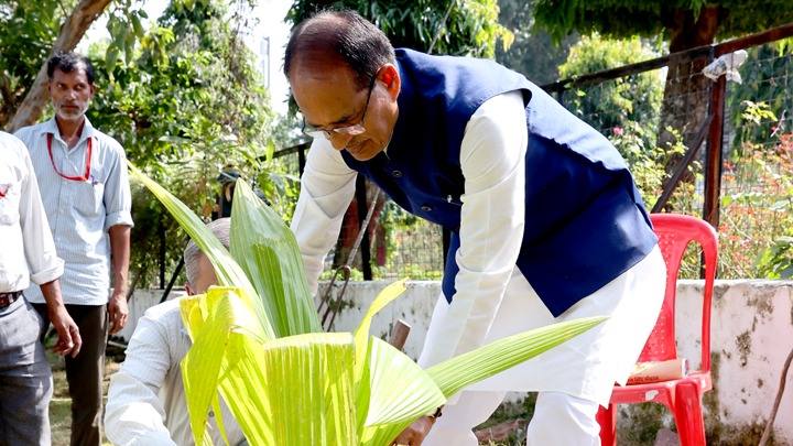 मुख्यमंत्री श्री चौहान ने लगाया नारियल का पौधा